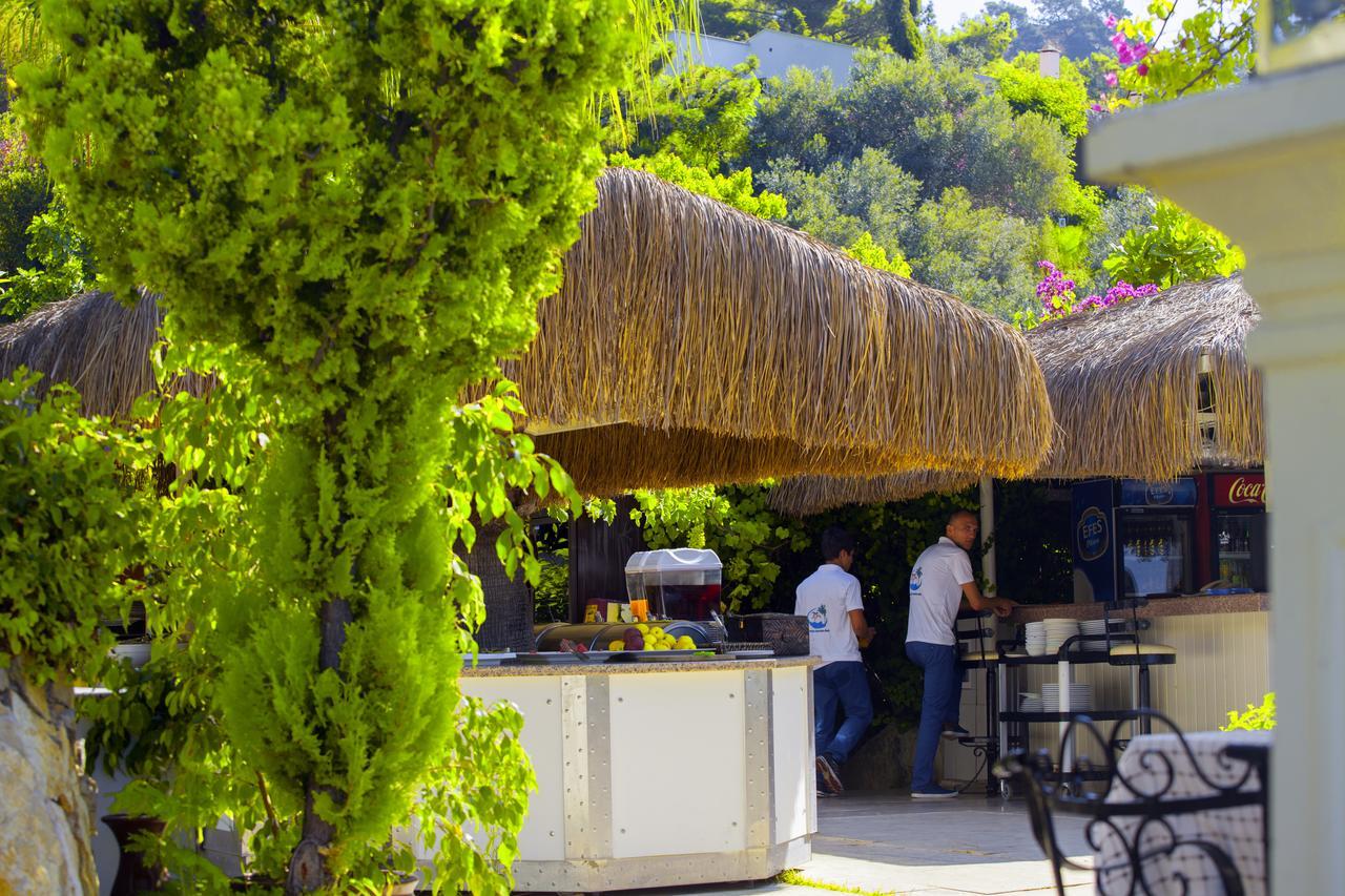 Paradise Garden 3*