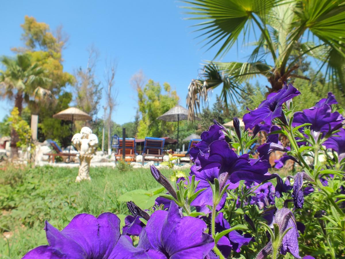 Utopia 5* Ölüdeniz