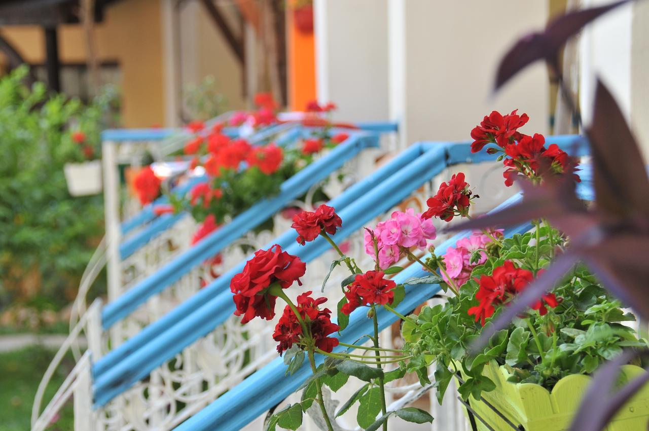 Tokgoz Butik Hotel&apartment Oludeniz