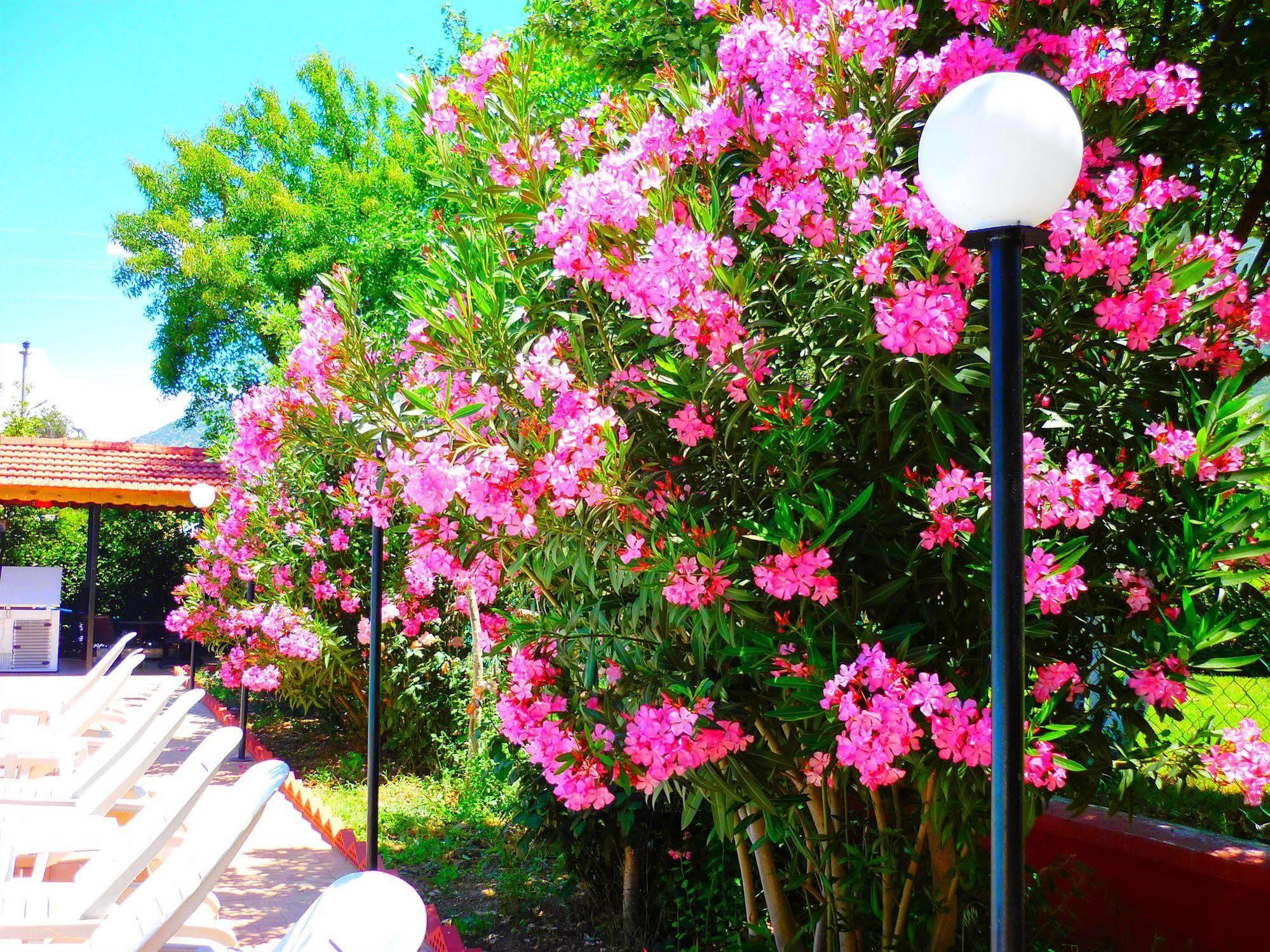 The Valley Hotel 2*