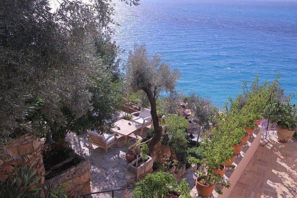 Beyaz Yunus - Adult Only 3*