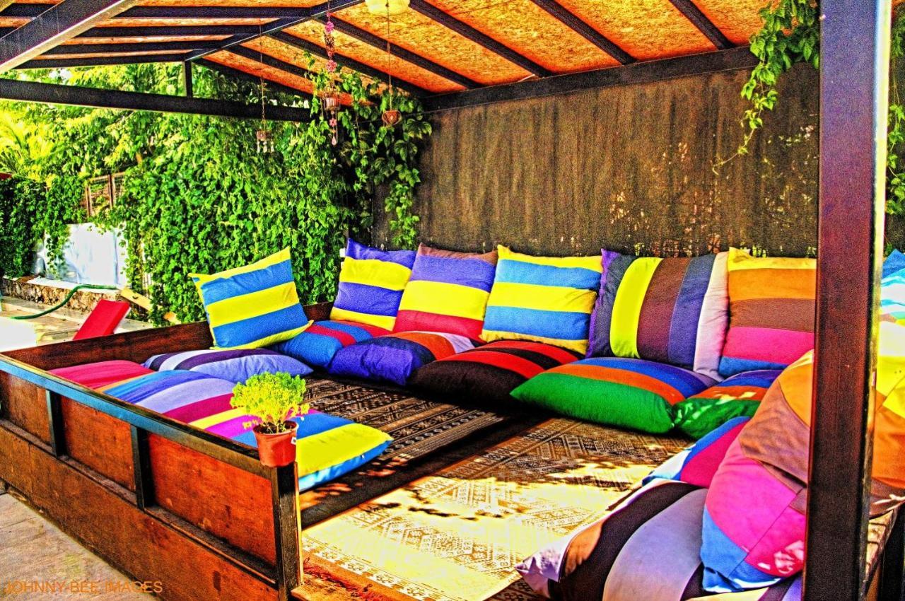Apartment Paddys Ovacik *