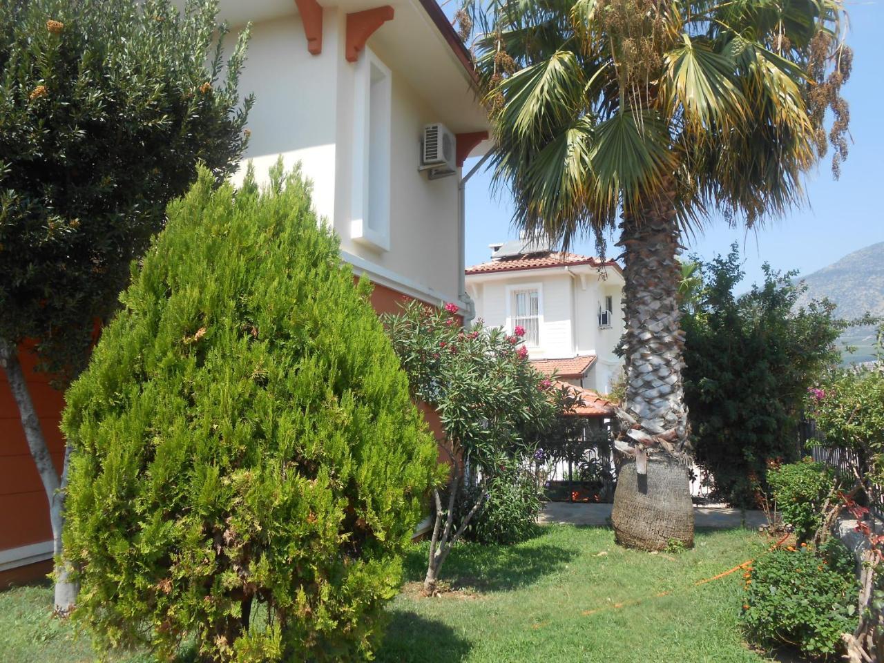 Dolphin Ovacik Oludeniz
