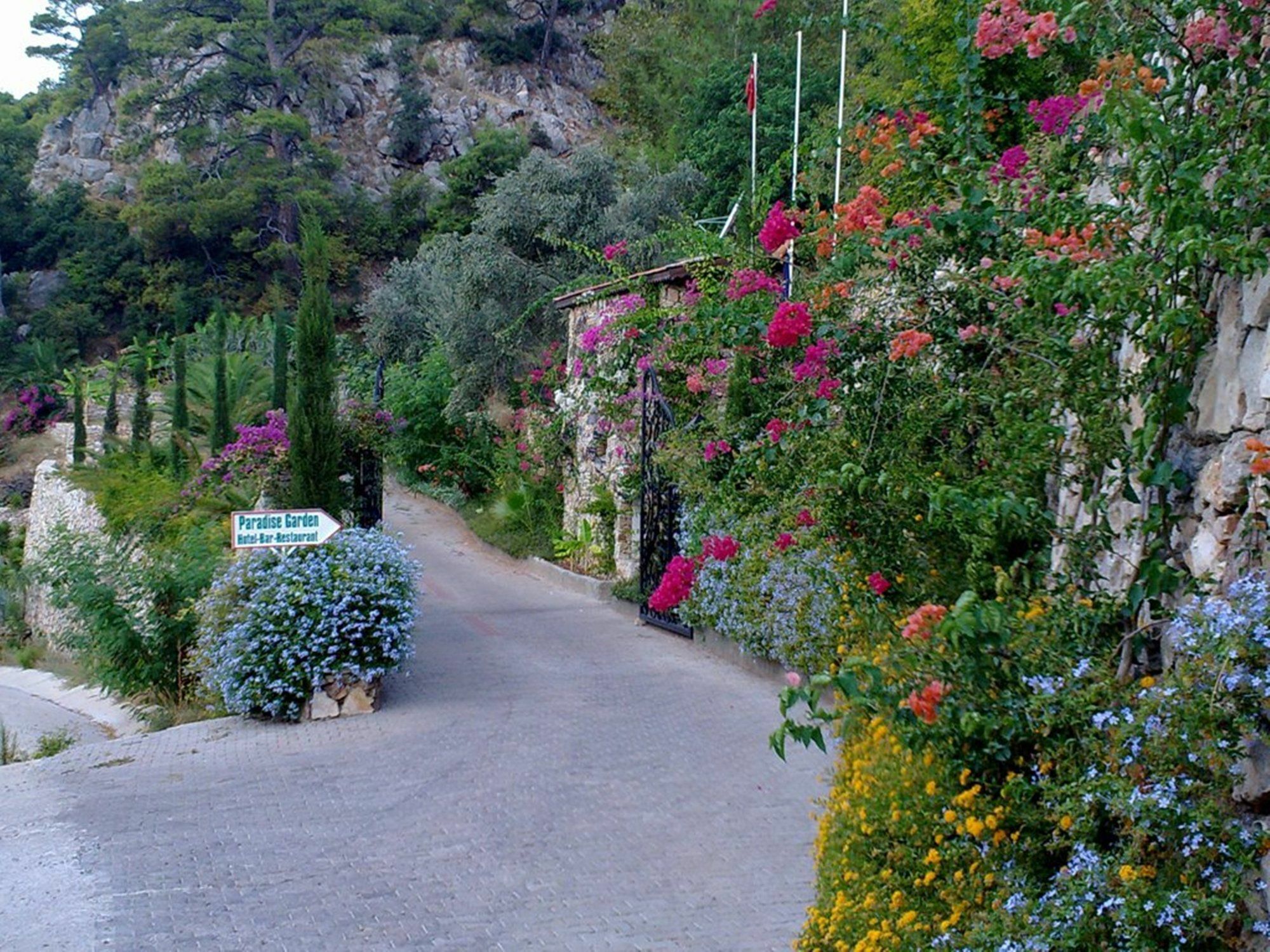 Paradise Garden