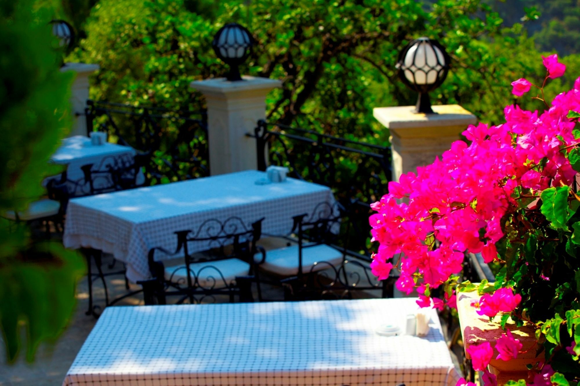 Paradise Garden Oludeniz
