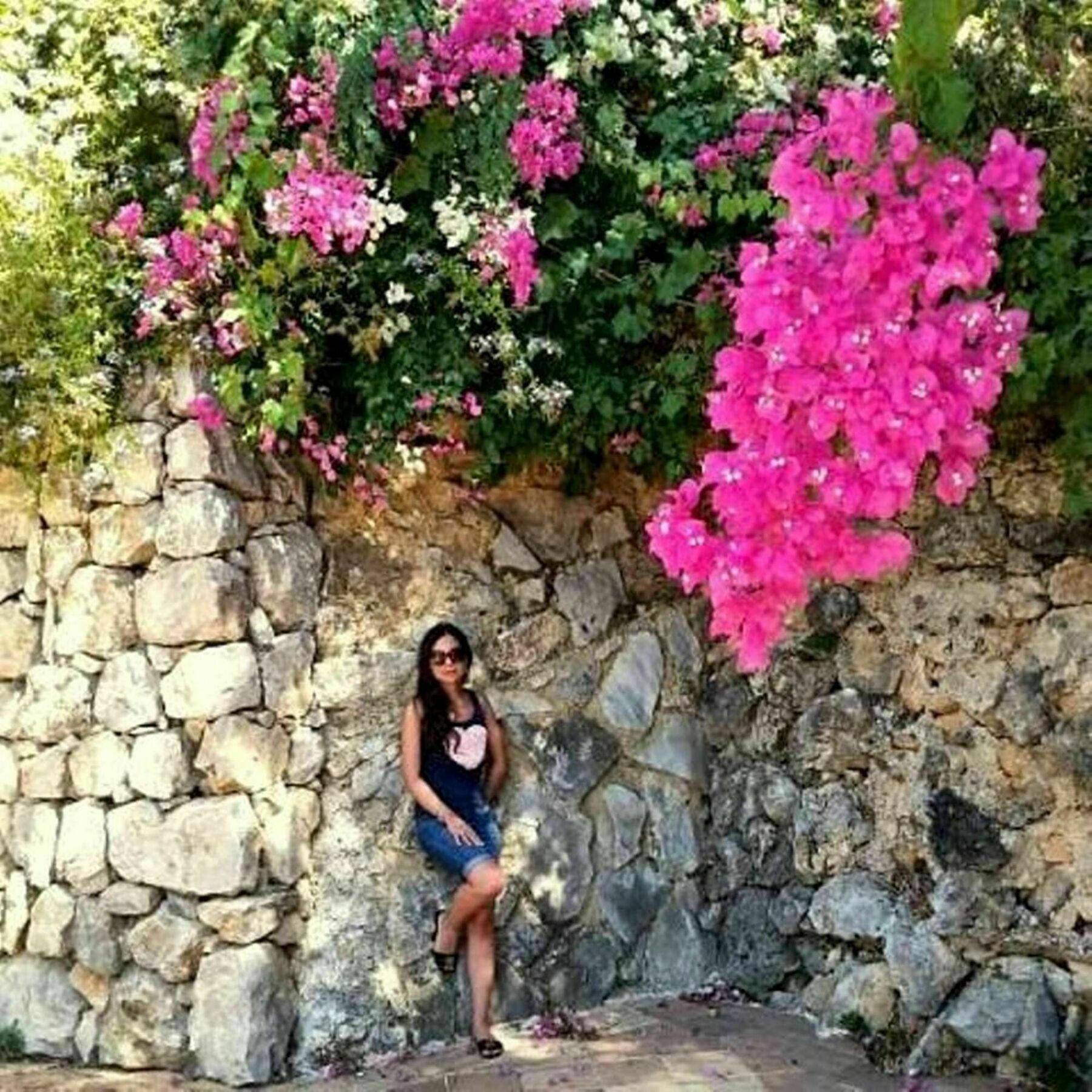 Paradise Garden