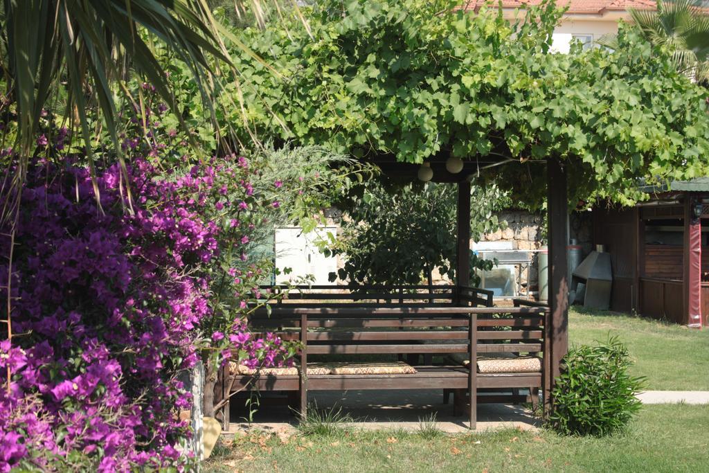 Coral Oludeniz