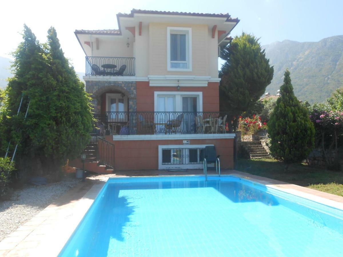 Dolphin Ovacik Villa *