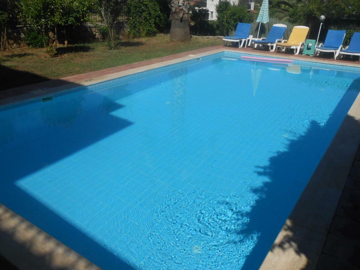 Dolphin Ovacik *