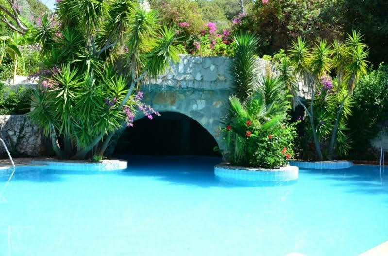 Paradise Garden Holiday home