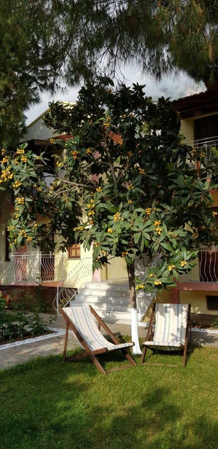 Otel ılkiz