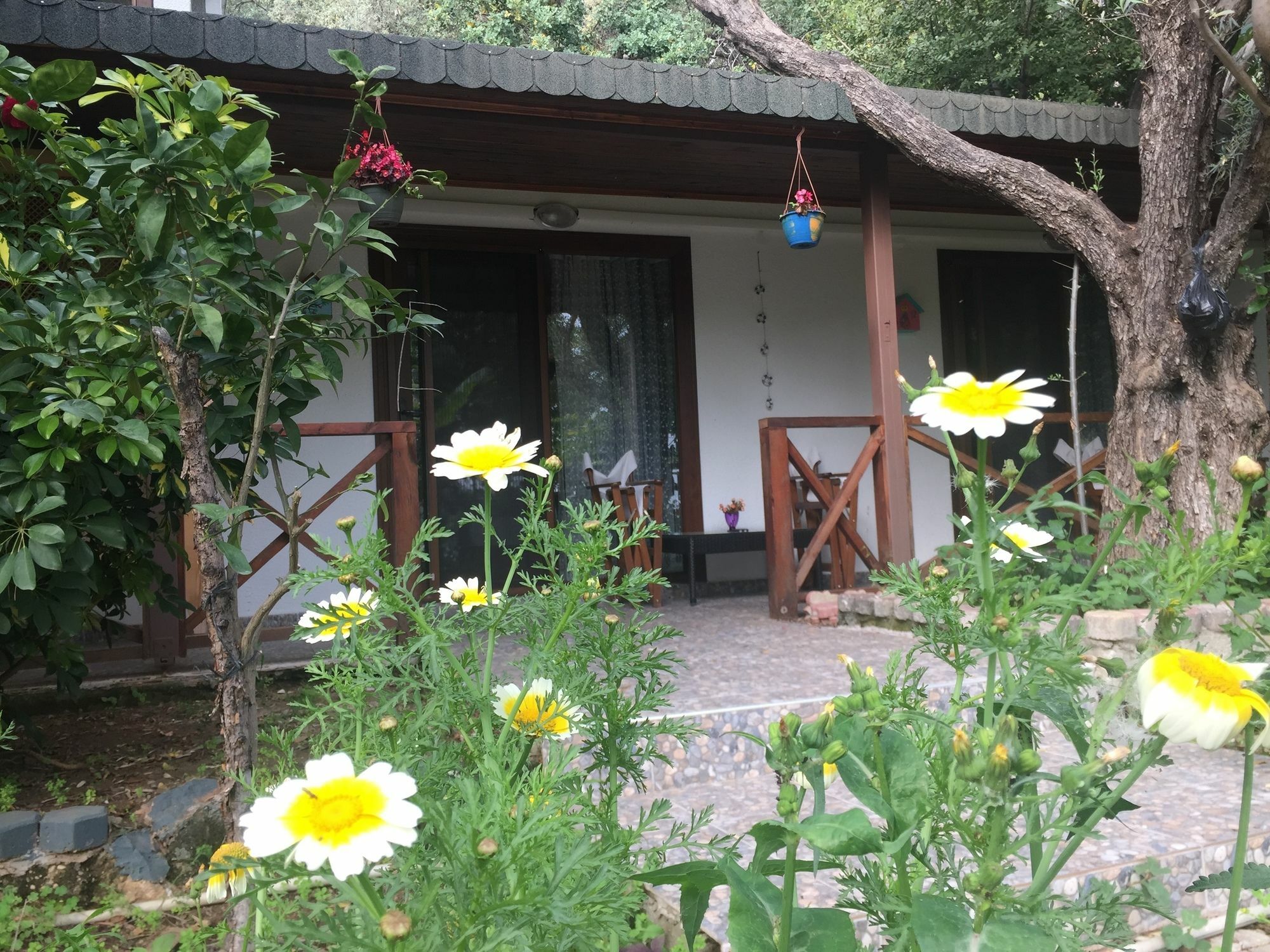 Hotel Lagoon Boutique Oludeniz