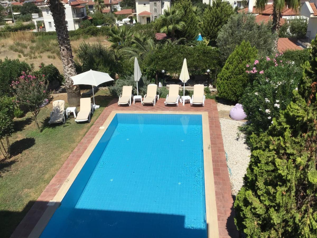 Dolphin Ovacik * Oludeniz