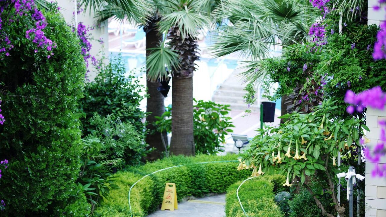 Hotel Yel