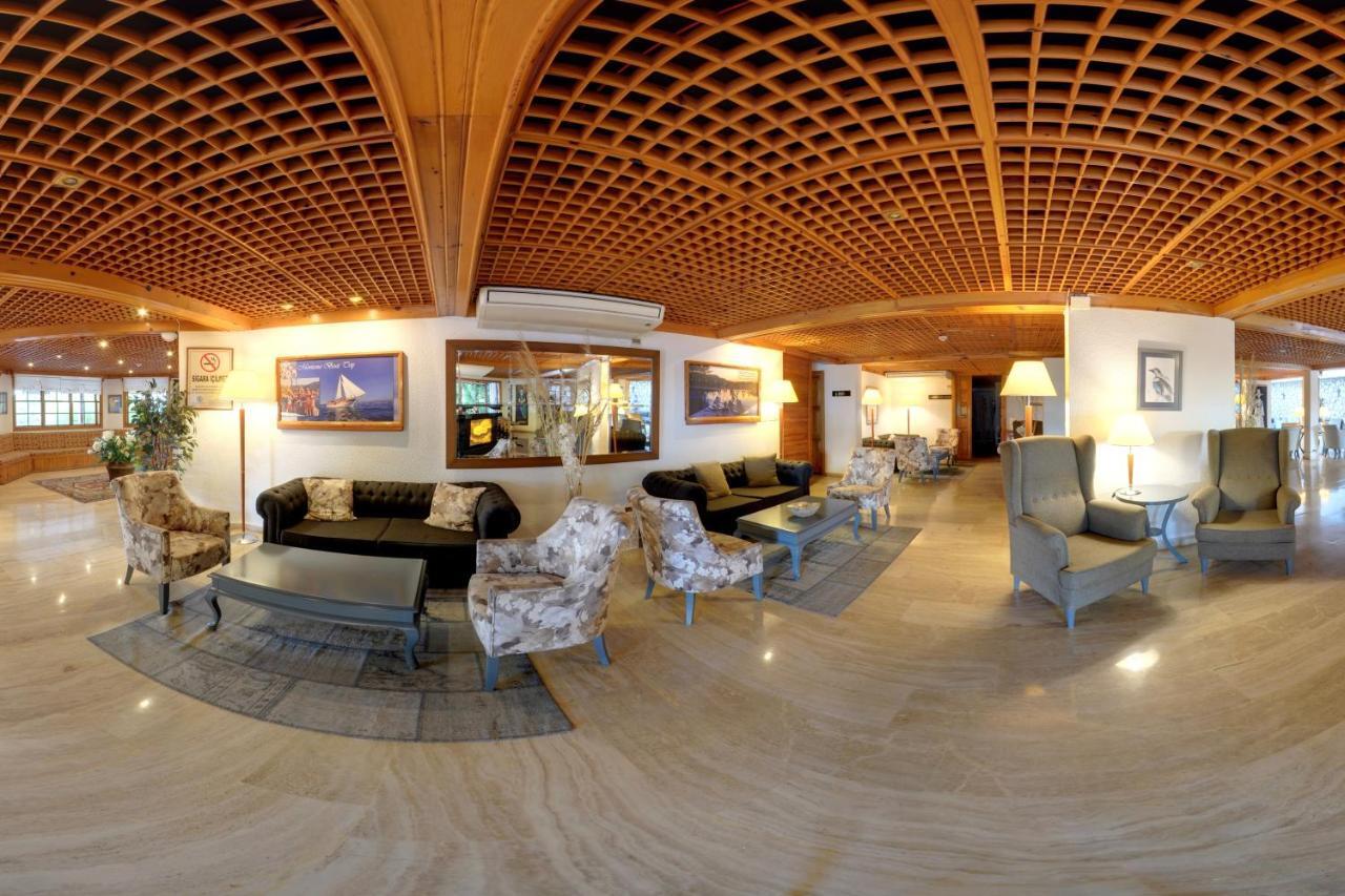 Montana Pine 4*
