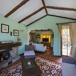 The Olive Tree Studios (Adults Only)
