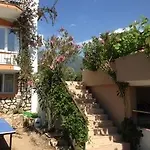 Our Dream Hotel