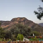 Shiva Camp