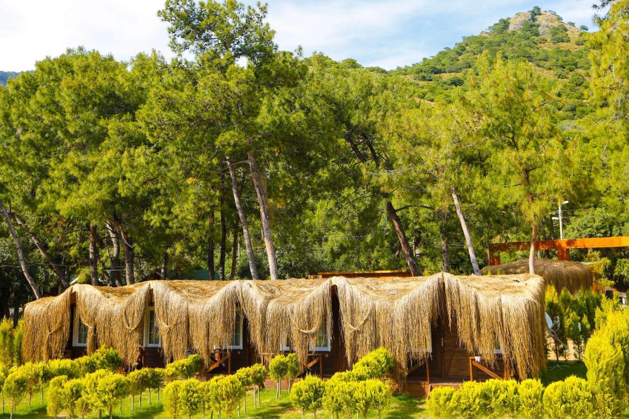 Pine & Luxury Concept * Ölüdeniz