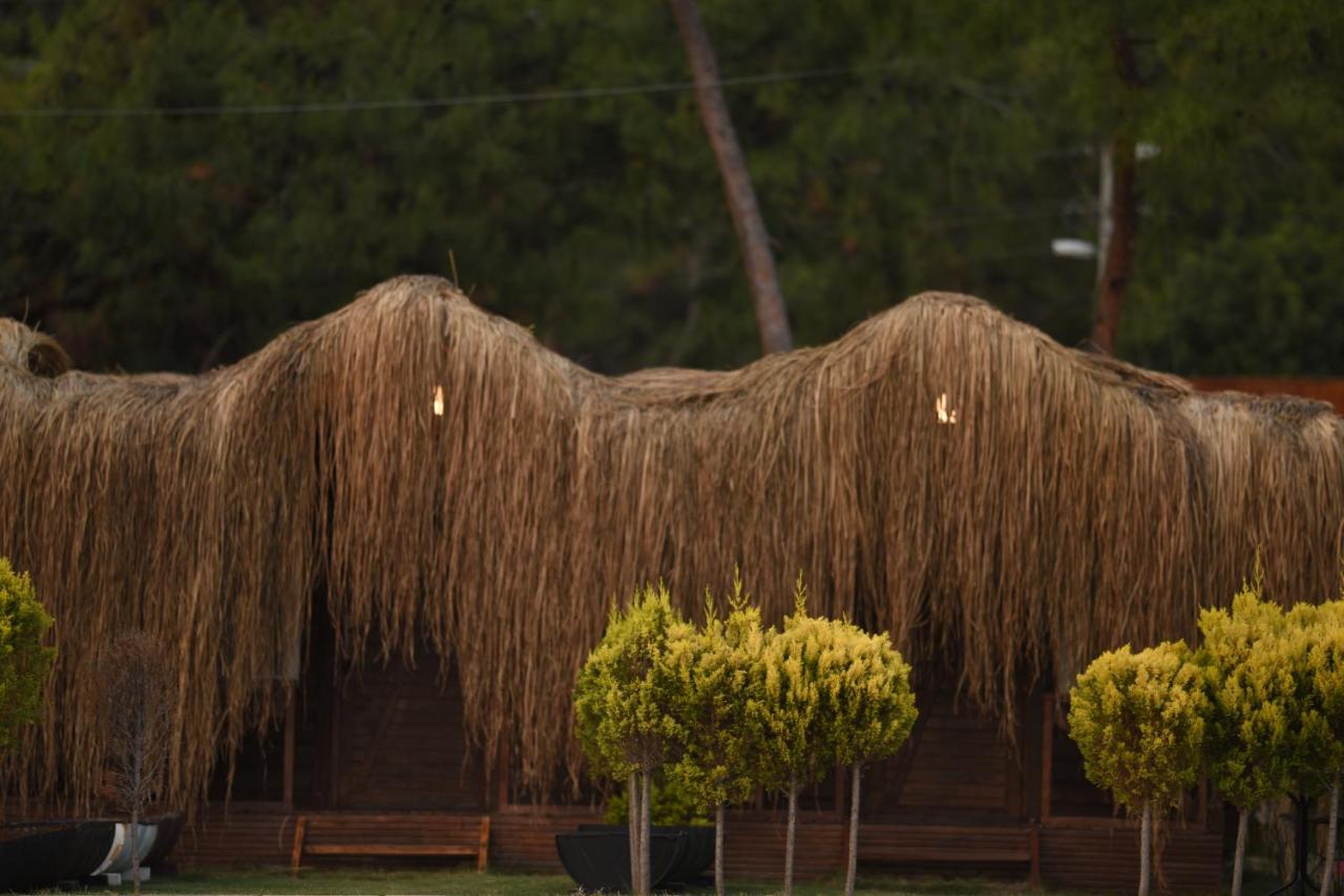Otel Pine & Luxury Concept Ölüdeniz