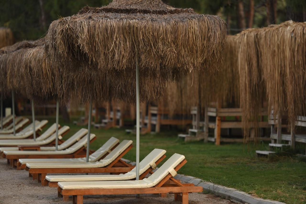 Pine & Luxury Concept Otel *