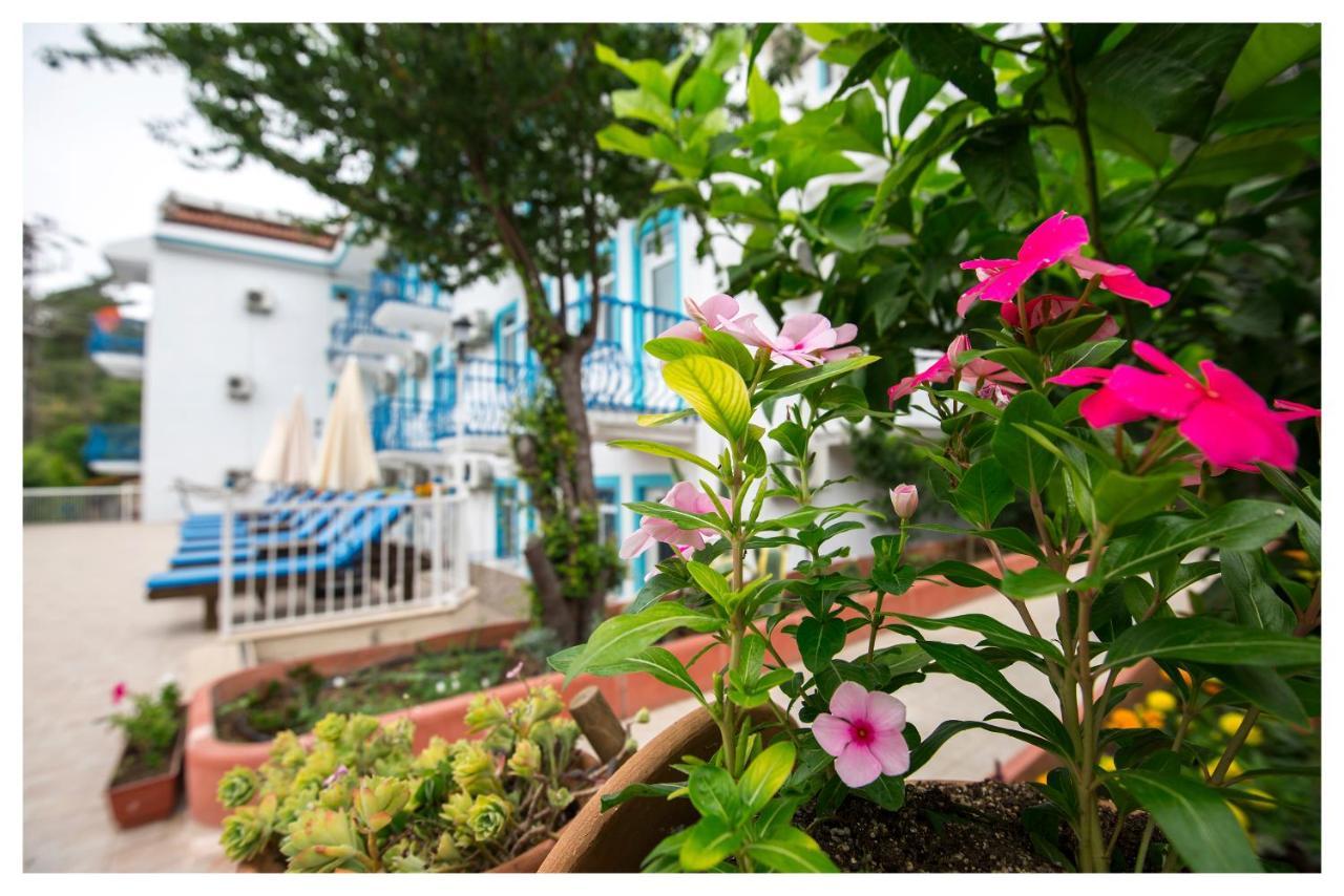 Hotel Mavi Yaprak *