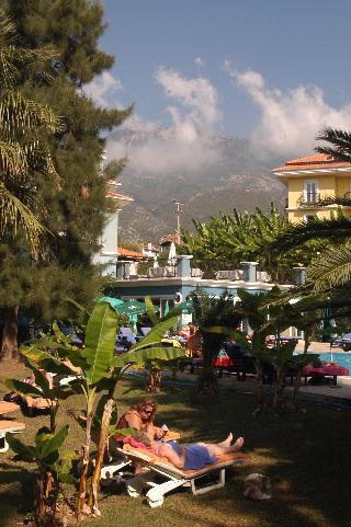 Antas