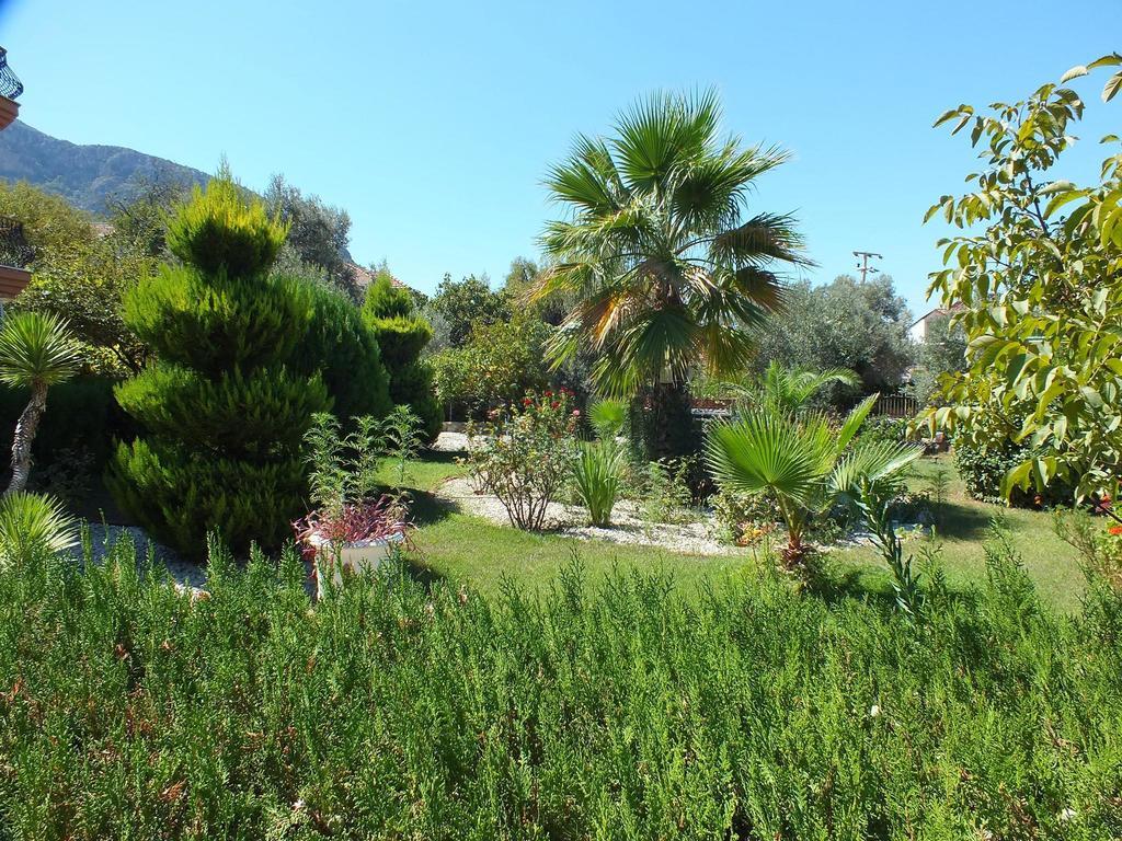 Everest Aparthotel Oludeniz