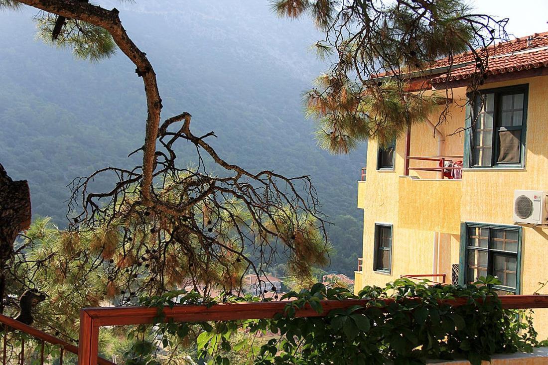 Bellevue Otel 3*