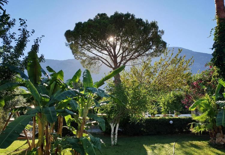 Hotel Gokcen Ölüdeniz
