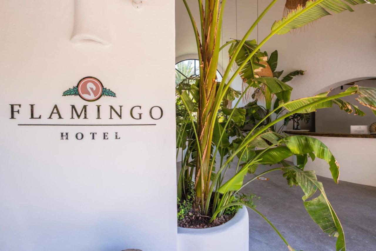 Flamingo & - Pet Friendly Hotel