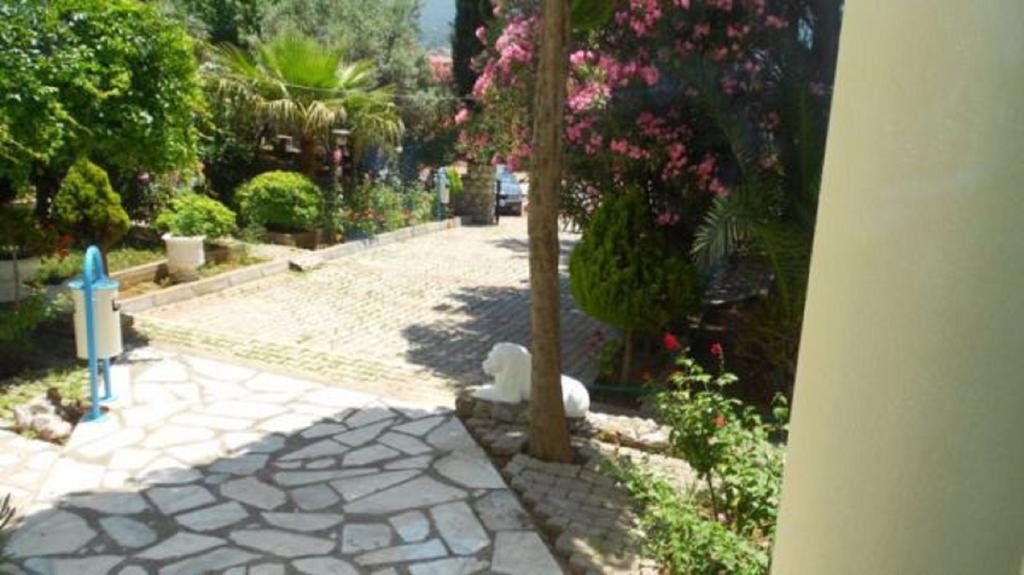 Klas Oludeniz