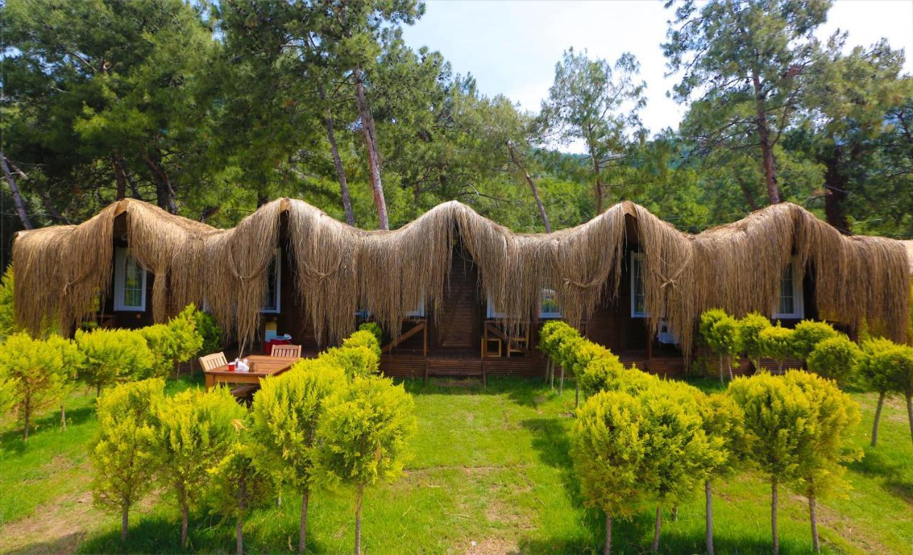 Pine & Luxury Concept Ölüdeniz