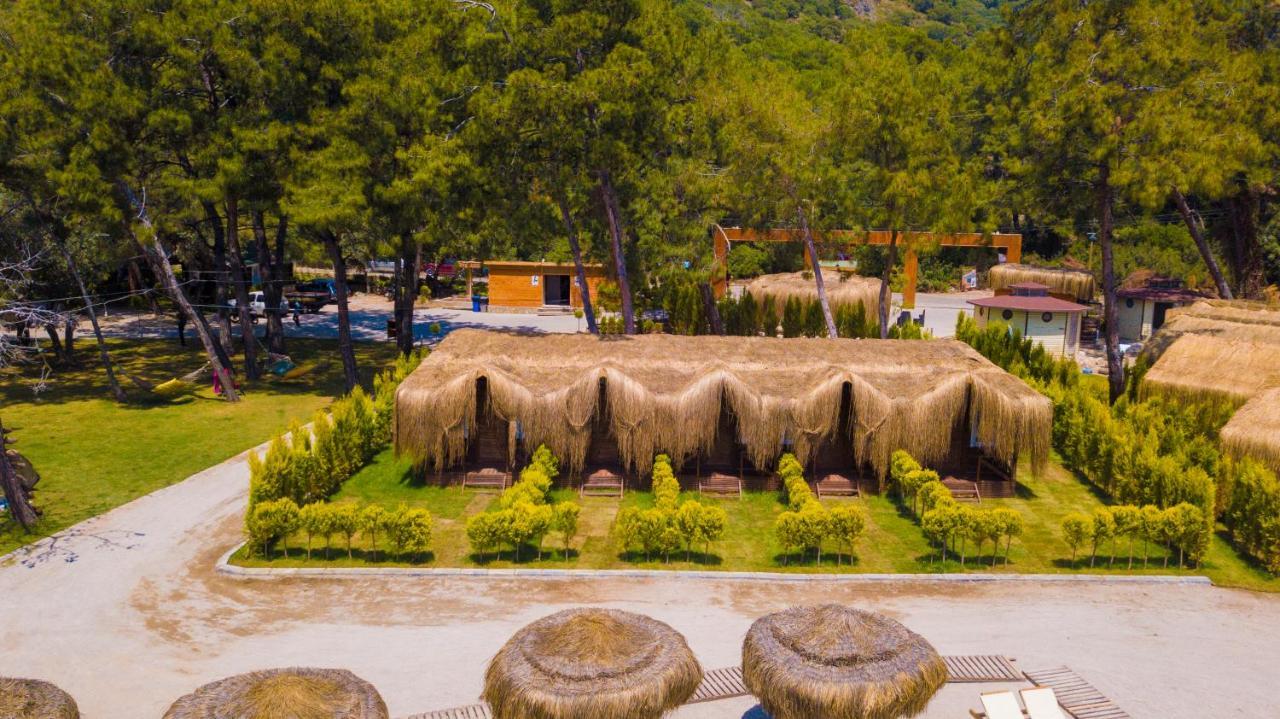 Otel Pine & Luxury Concept
