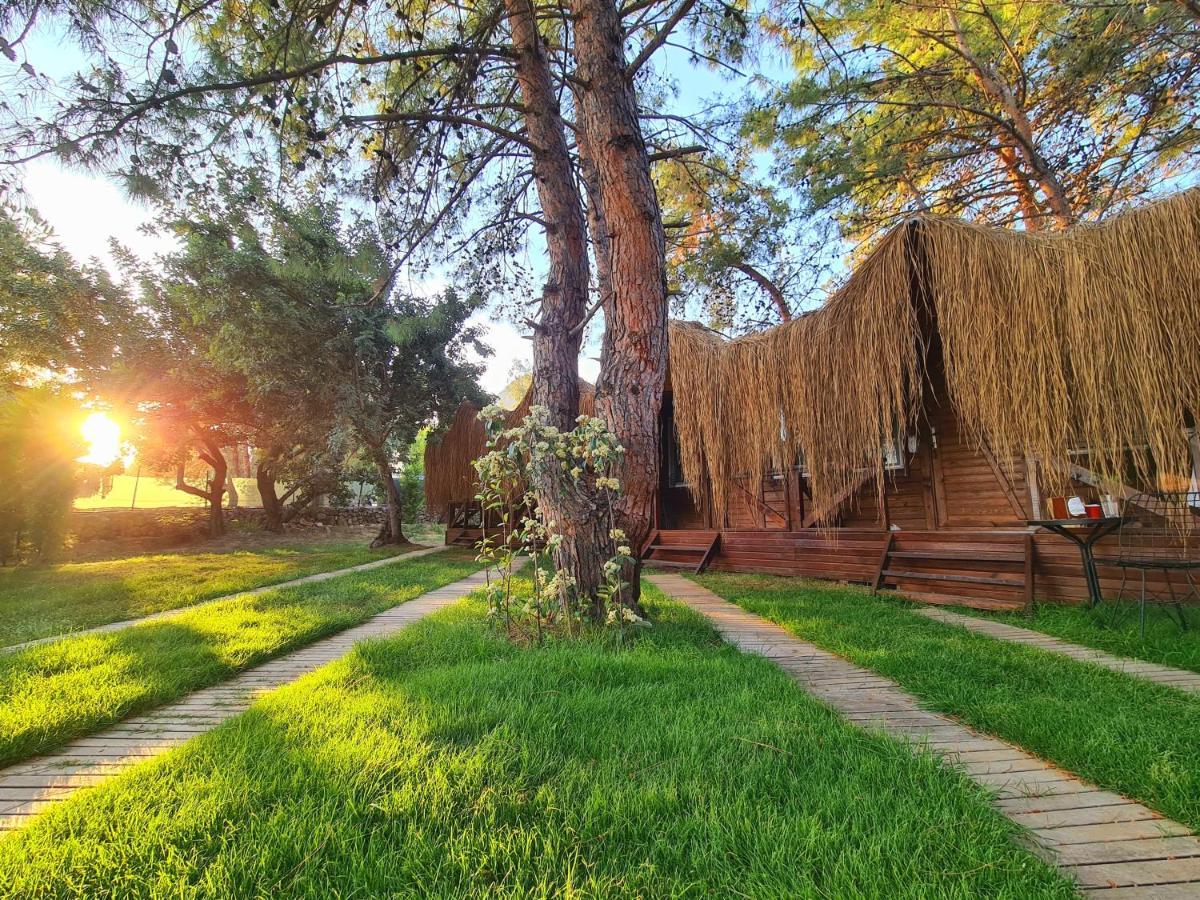 Pine & Luxury Concept Otel Ölüdeniz