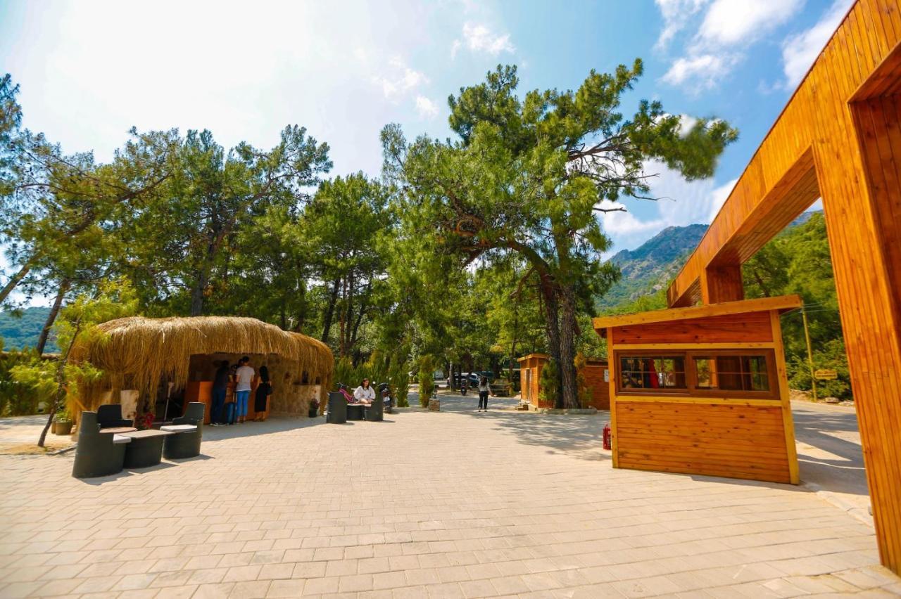 Pine & Luxury Concept Hotel *