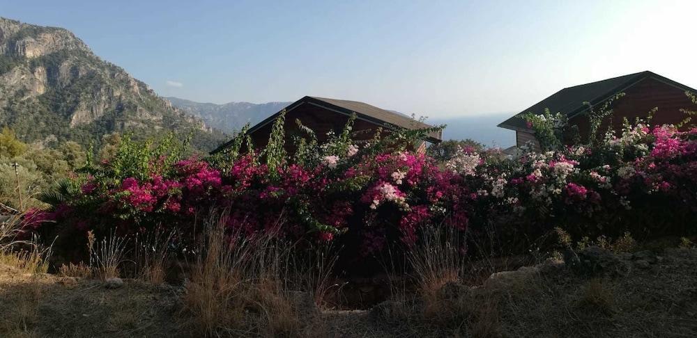 Otel Kabak Armes