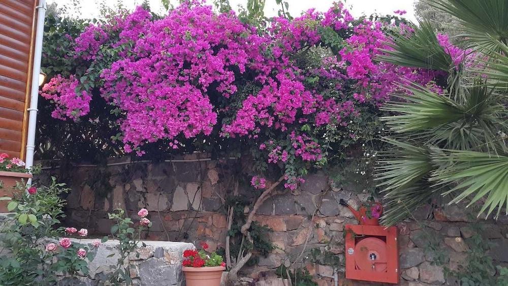 Otel Kabak Armes Faralya