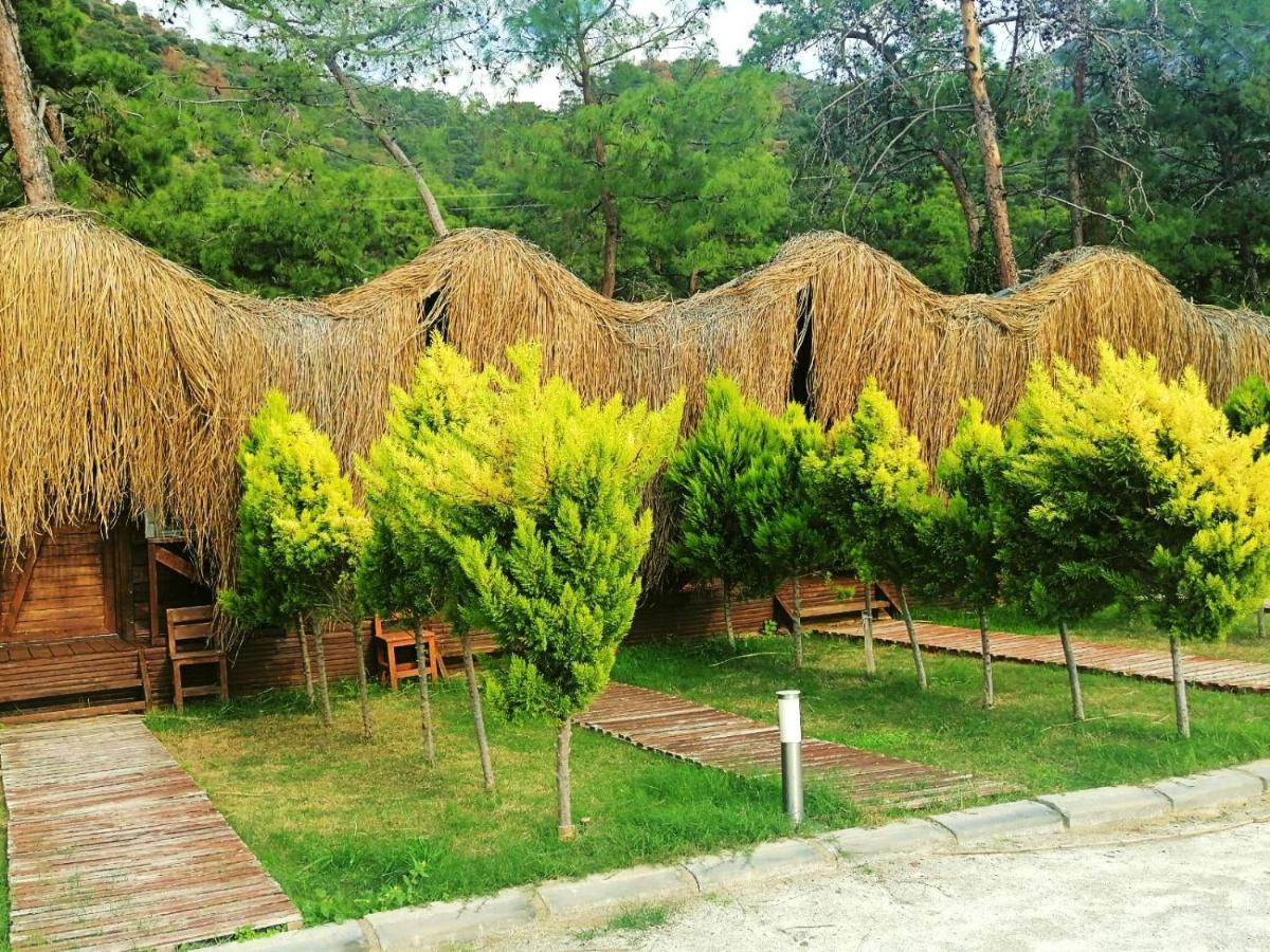 Otel Pine & Luxury Concept Ölüdeniz