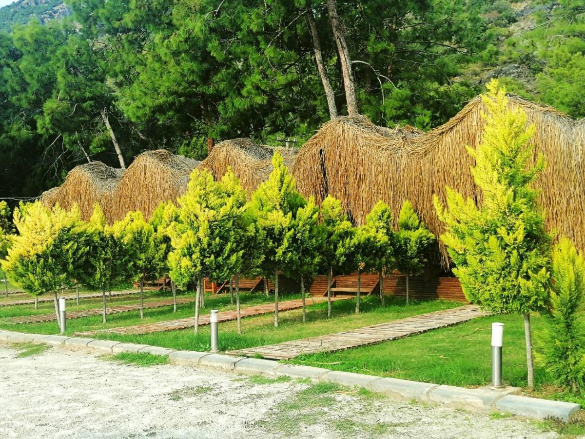 Otel Pine & Luxury Concept *