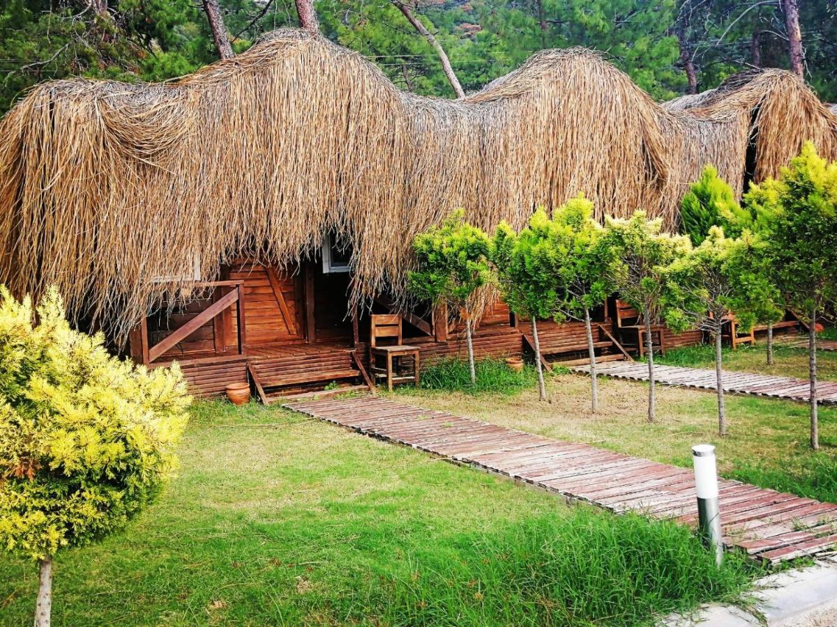 Otel Pine & Luxury Concept Ölüdeniz