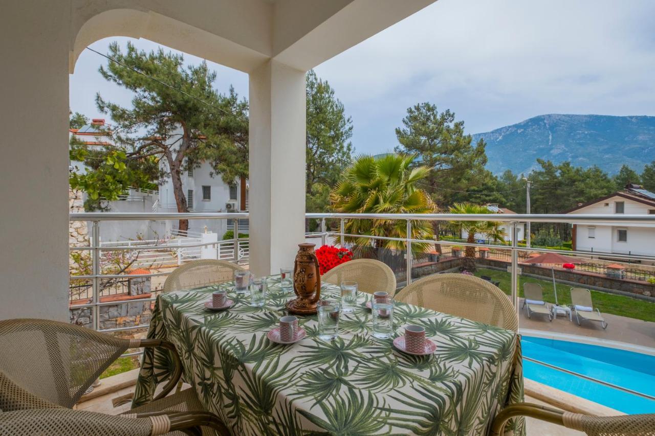 Villa Infinity Olympia *