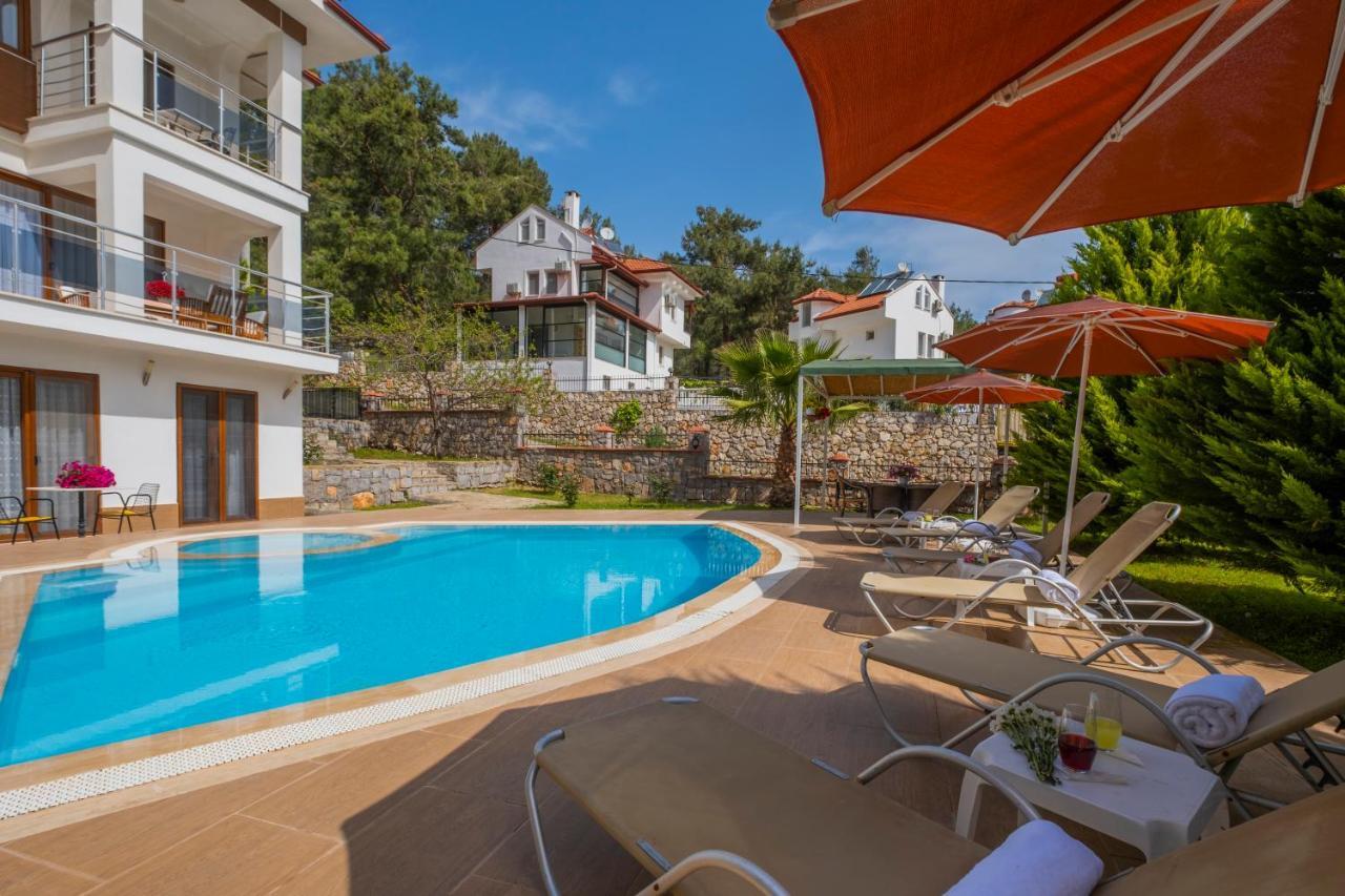 Villa Infinity Olympia