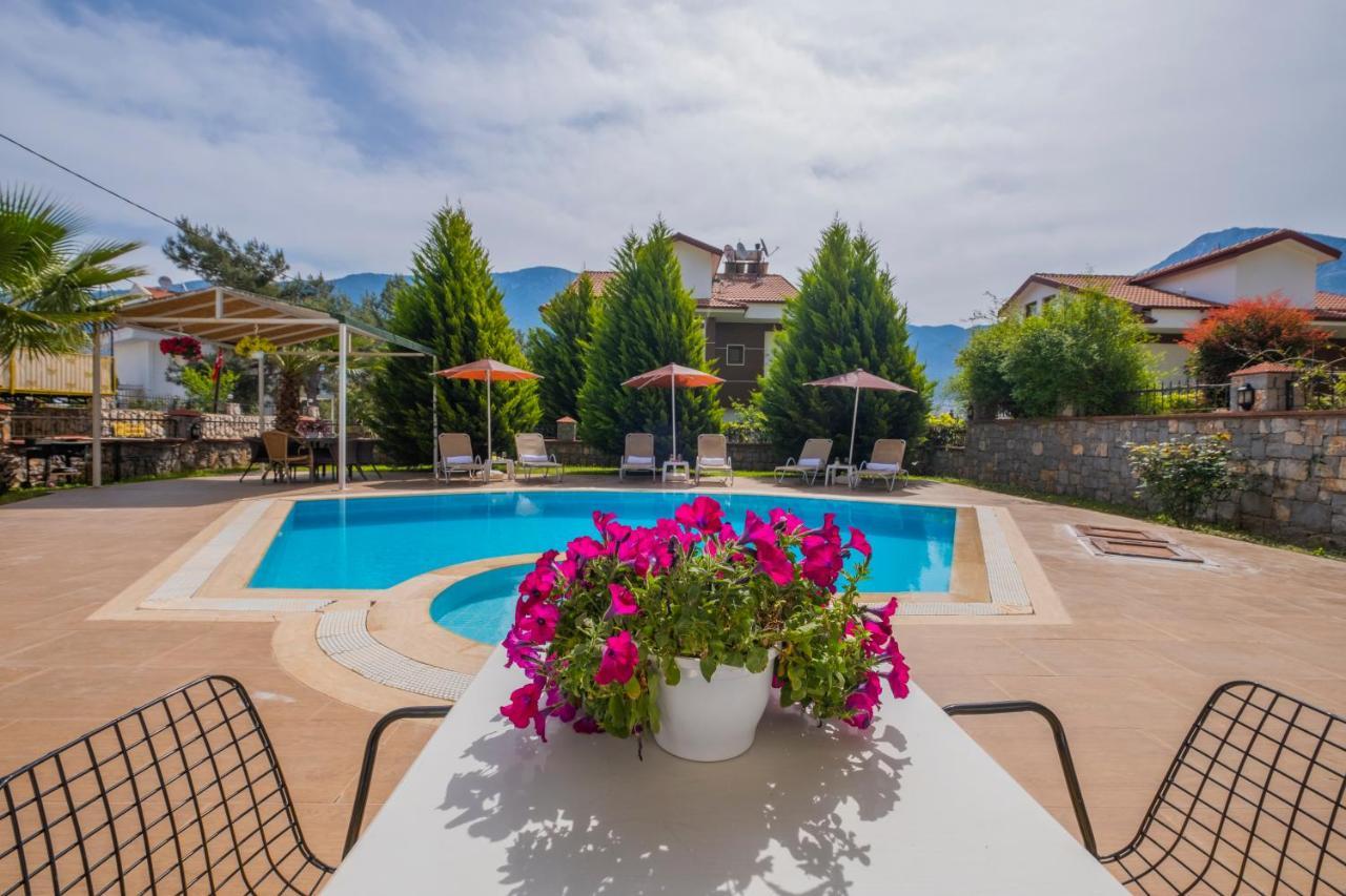 Infinity Olympia Villa *