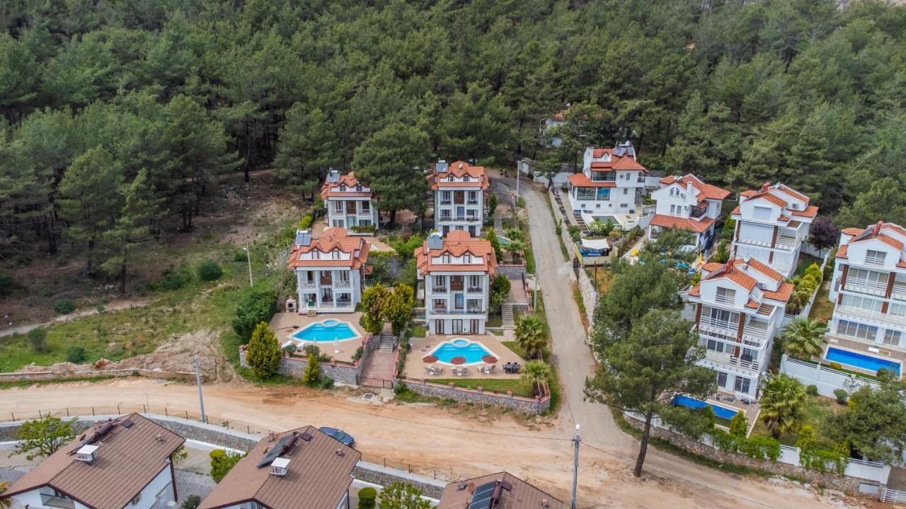 Villa Infinity Olympia *