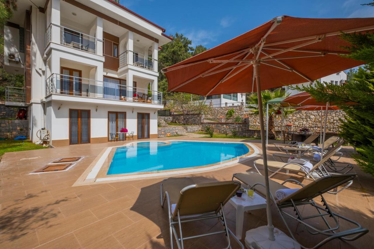 Villa Infinity Olympia