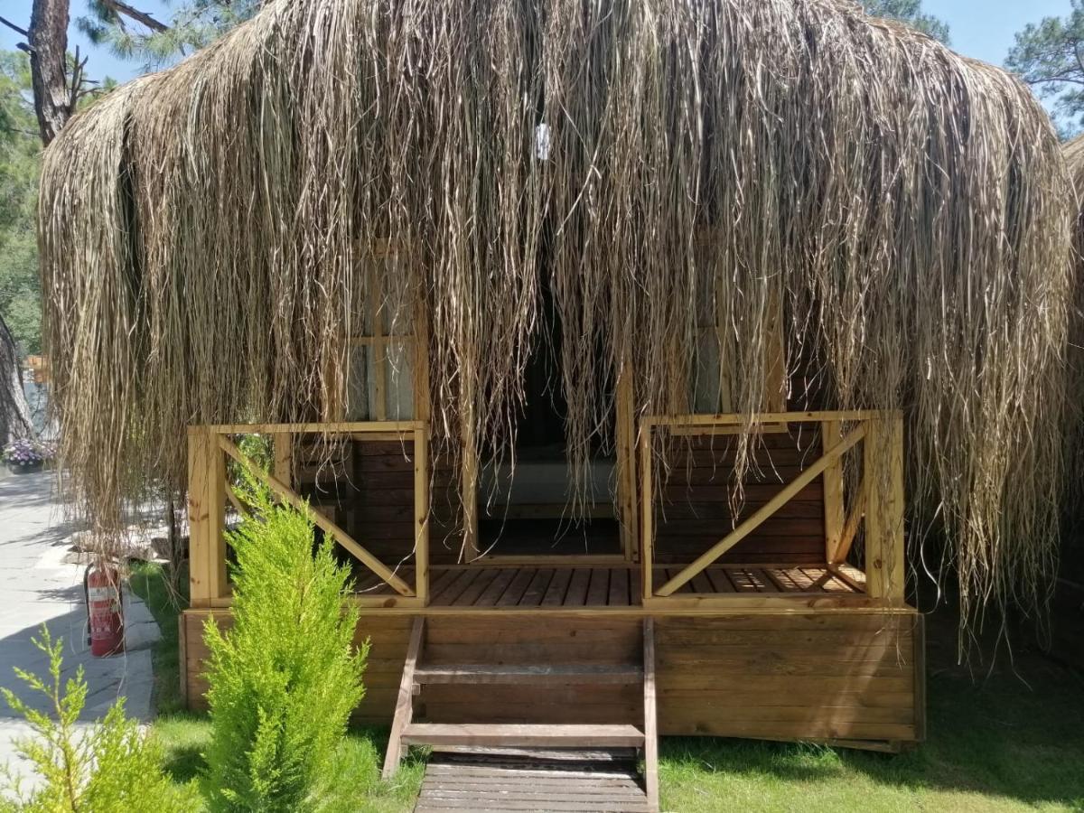 Pine & Luxury Concept * Ölüdeniz