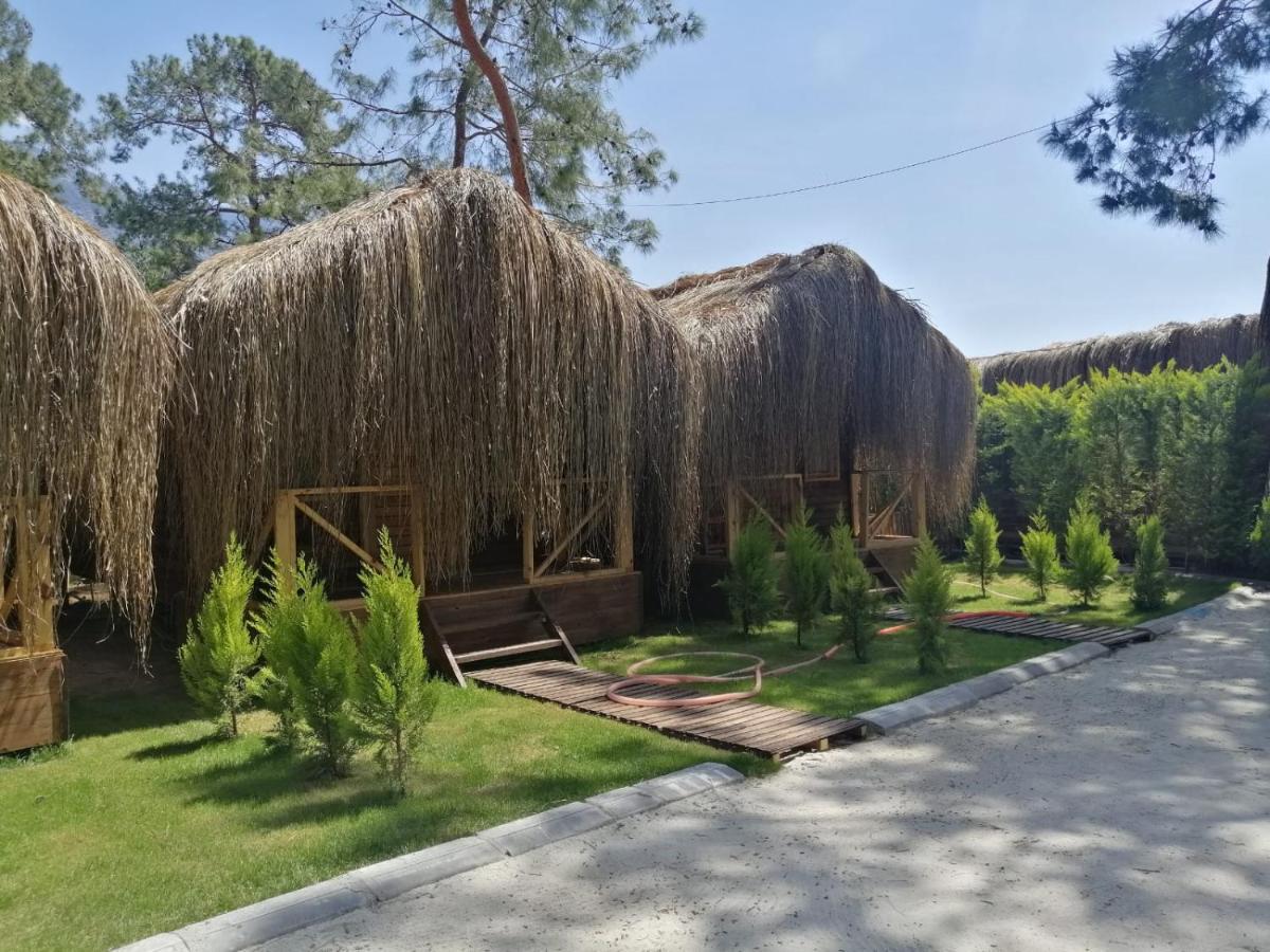 Pine & Luxury Concept Ölüdeniz