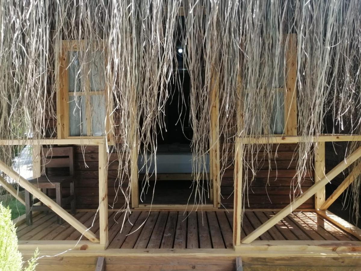 Pine & Luxury Concept Hotel Oludeniz