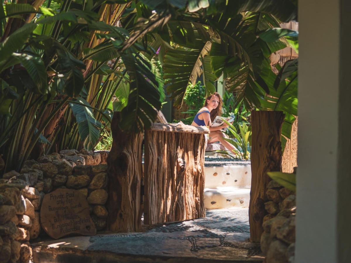 Otel Flamingo & - Pet Friendly Ölüdeniz